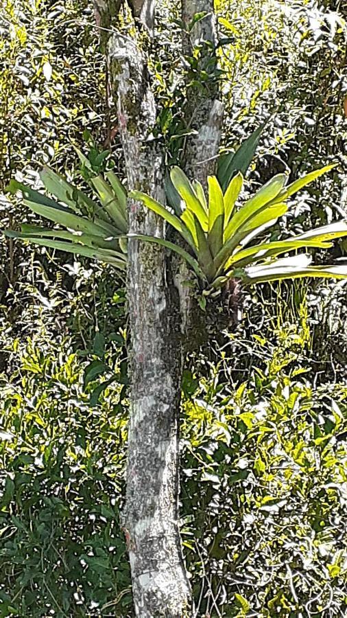 Loft Aconchego Da Serra Petrópolis Kültér fotó